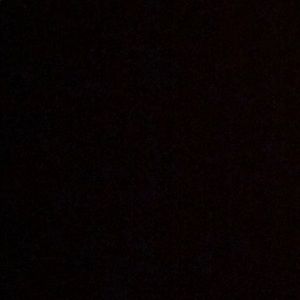 Meet your Posher, Deion